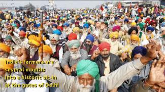  farmers are a historic sit-in at the gates of Delhi