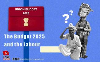 The Budget 2025 and the Labour